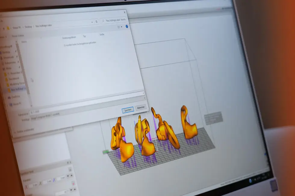 Computerbildschirm mit 3D-Modellen von individuell geformten Ohrstücken in einer Software zur Anfertigung von Gehörschutz